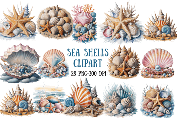 Beautiful Watercolor Sea Shells Clipart Bundle