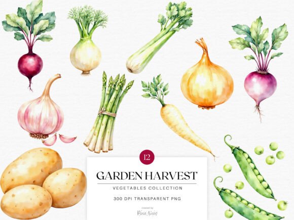 Fresh from the Garden: Using Watercolor Vegetables in Your Designs